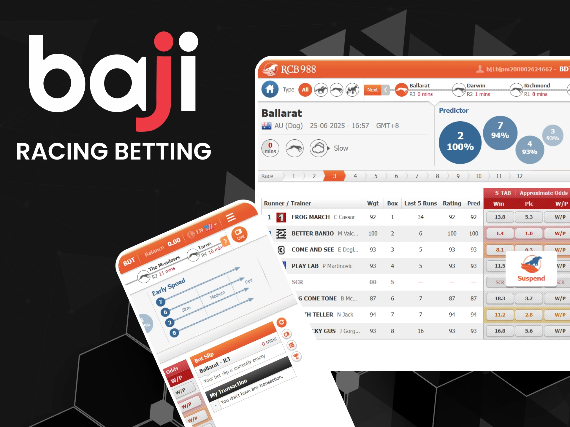 Bet on horse and greyhound racing on Baji using the RCB988 platform.