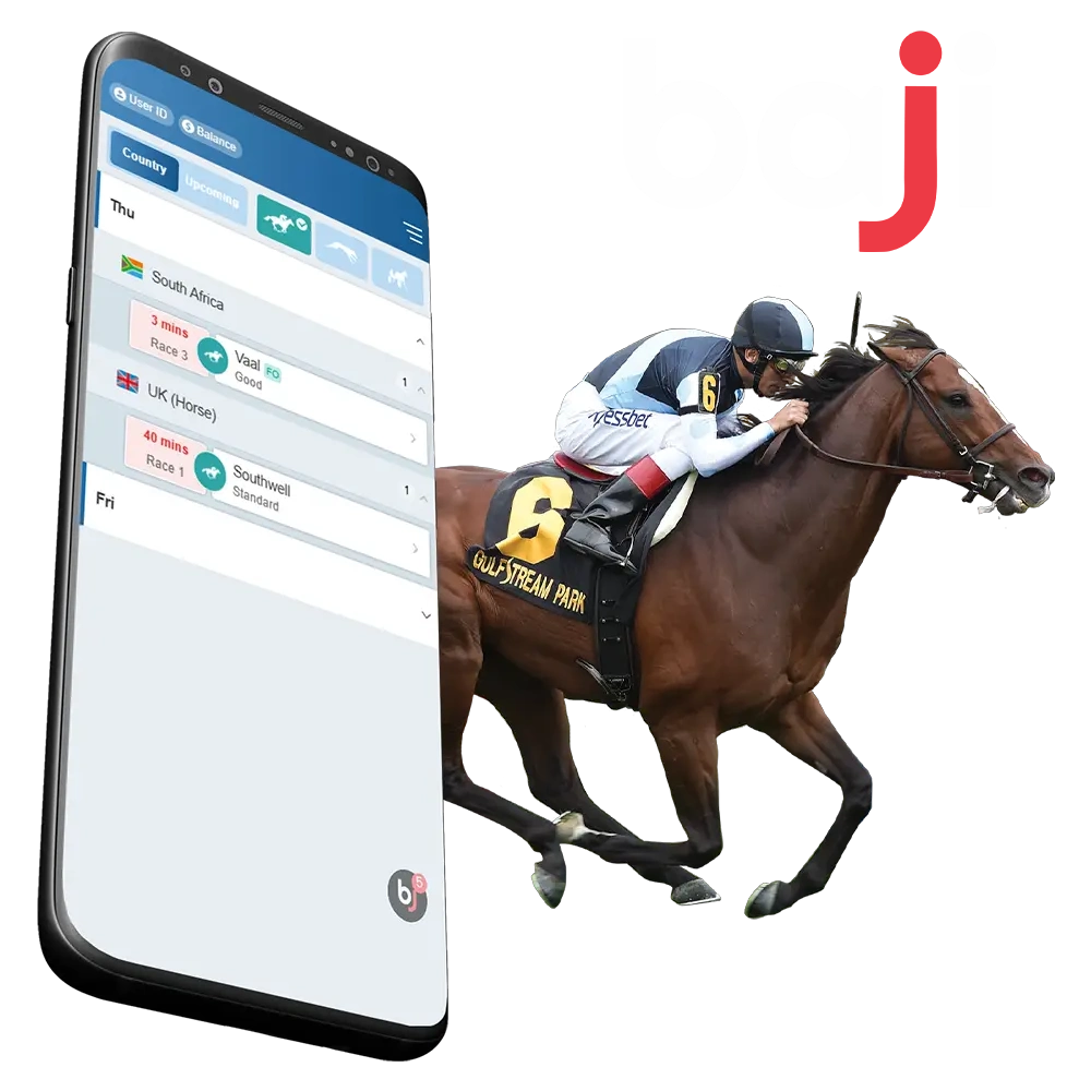 Place your horse racing bets on Baji in the dedicated Horsebook section.